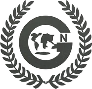 G N Trading logo